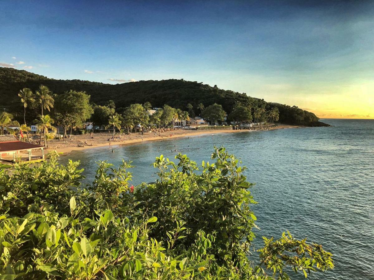 Cannelle. Secteur Royal. Villa Deshaies